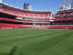 Athletic Field Sod & Turf Grass