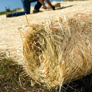 moster turf straw blanket